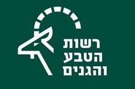 image (6)
